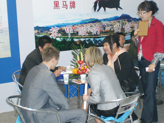 黃石市火炬科技實業(yè)有限責任公司